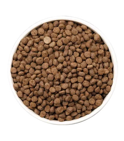 CARE-WEIGHT-CONTROL-DOG-PLATO