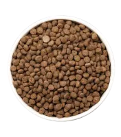 CARE-WEIGHT-CONTROL-DOG-PLATO