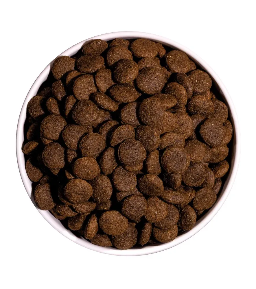 ow-classic-duck-platoadl