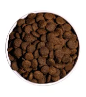 ow-classic-duck-platoadl