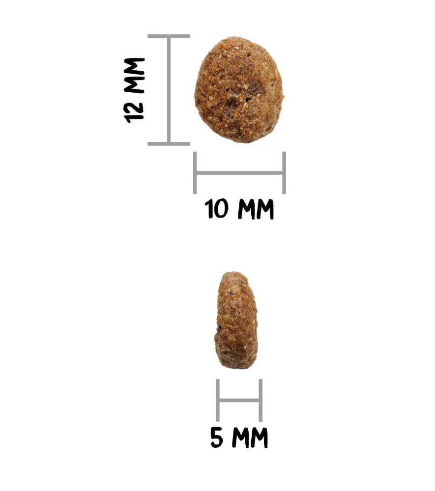 ow-prime-minihypolambdog-croqadl
