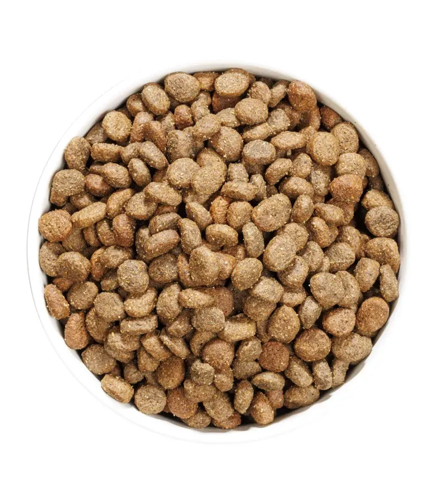 ow-prime-minihypolambdog-platoadl