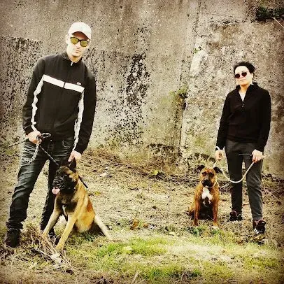 Anxiété chien près de Roybon