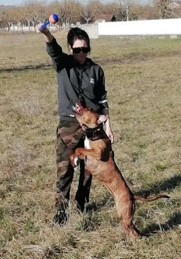 Chien difficile près de Roybon